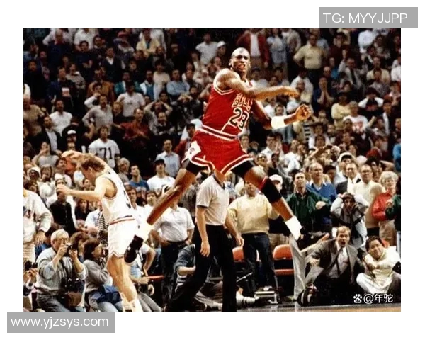 篮球明星白乔丹的精彩瞬间与传奇故事全解析
